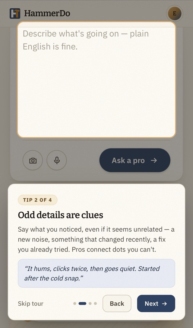Odd details are clues